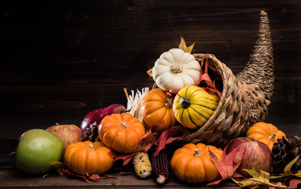 A picture of a basket and some pumpkins that represent the symbols of Thanksgiving